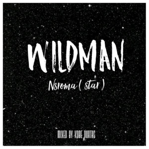 Dengarkan lagu Nsroma nyanyian Wildman dengan lirik