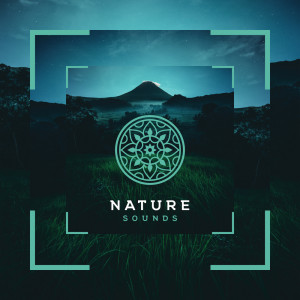 Album Elementen Van De Natuur oleh Natuurgeluiden