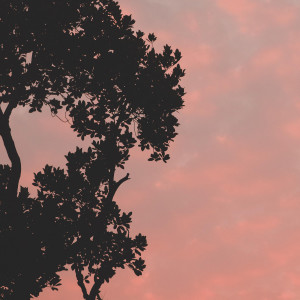 Listen to I Tried to Get to You song with lyrics from NÜ