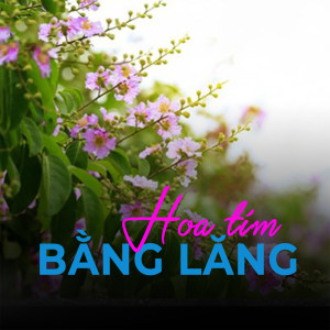 收聽Tấn Giao的Hoa tím bằng lăng歌詞歌曲