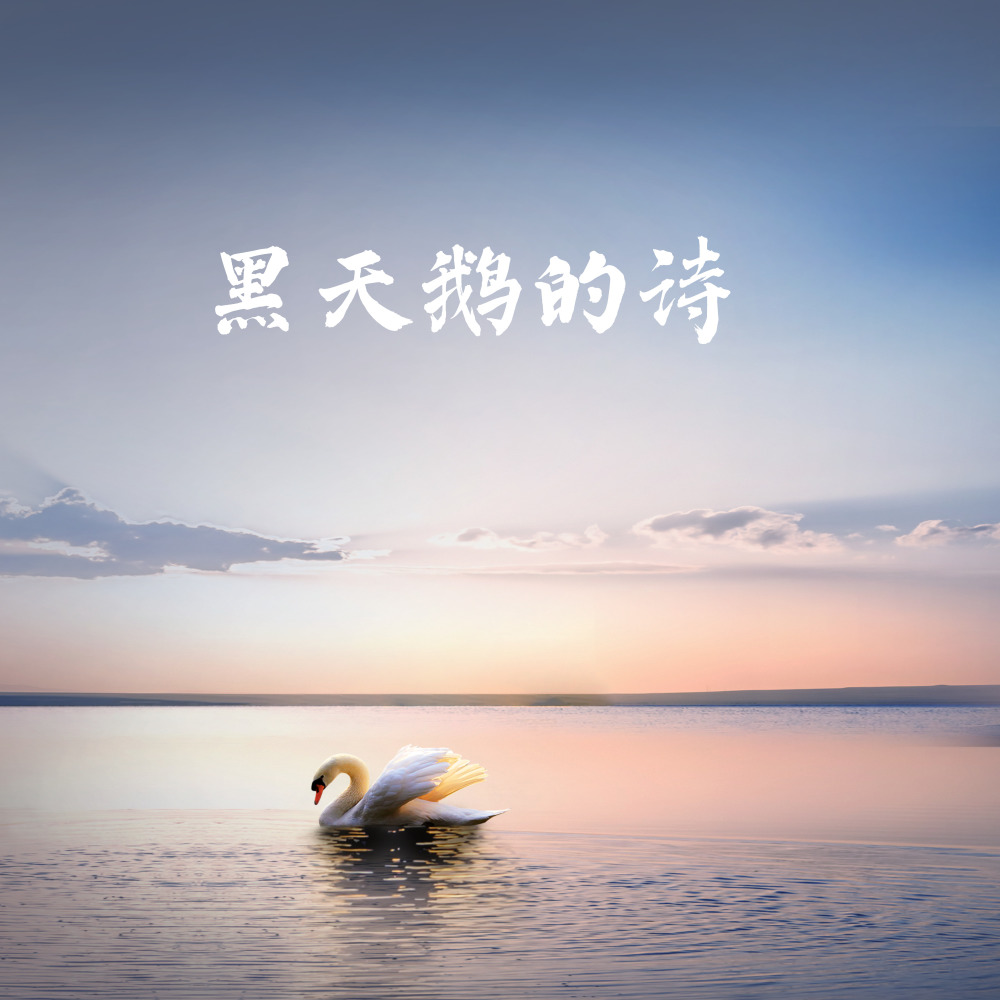 黑天鹅的诗 (伴奏)