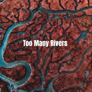 Listen to Fortune Teller song with lyrics from The Hardtimes