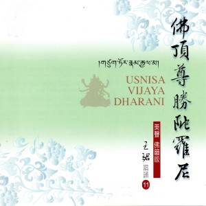 收聽王珺的佛頂尊勝陀羅尼 (美聲佛韻版 11)歌詞歌曲