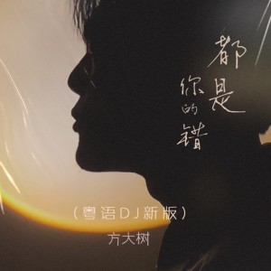 收聽方大樹的都是你的錯 (粵語DJ新版)歌詞歌曲