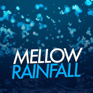 ดาวน์โหลดและฟังเพลง Rain on the Canopy พร้อมเนื้อเพลงจาก Deep Sleep Rain Sounds