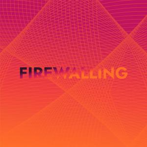 Listen to Firewalling song with lyrics from Westy Akil