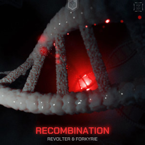 Album Recombination from Revolter