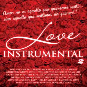 อัลบัม Love Instrumental  Vol. 2 ศิลปิน Johnny Days Orchestra