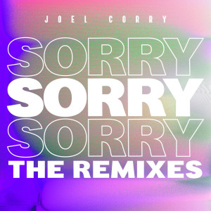 收聽Joel Corry的Sorry (Dots Per Inch Remix)歌詞歌曲