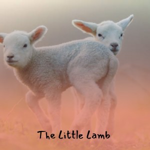 Listen to The Johnny's Little Lamb song with lyrics from The Sputniks