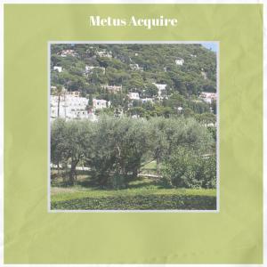 Album Metus Acquire oleh Various