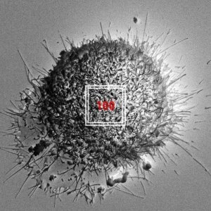 Dengarkan 100 (feat.Nochang) lagu dari Black Nut dengan lirik