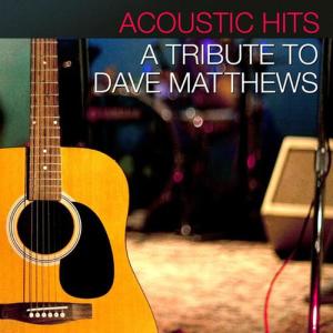 ดาวน์โหลดและฟังเพลง So Much to Say พร้อมเนื้อเพลงจาก Acoustic Hits