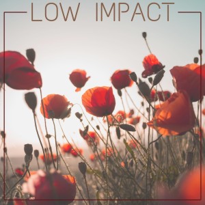 Marco Allevi的專輯Low Impact