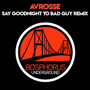 Dengarkan lagu Say Goodnight To The Bad Guy (Manel Diaz Remix) nyanyian Avrosse dengan lirik