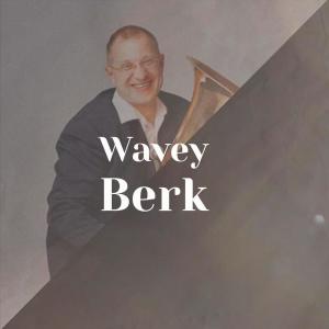 Various的专辑Wavey Berk