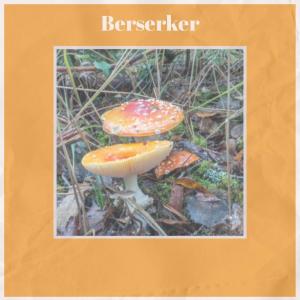 Listen to Berserker song with lyrics from Kender Geci