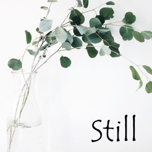 ดาวน์โหลดและฟังเพลง Still พร้อมเนื้อเพลงจาก GonnaB