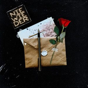 Listen to Nie Wieder song with lyrics from Tayson