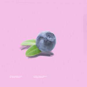 Album Blueberry oleh Johnny Stimson
