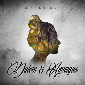 收聽Mr Raimy的Carlitos El Dulcero 2歌詞歌曲