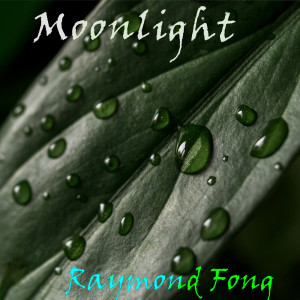 ดาวน์โหลดและฟังเพลง I Love You 3000 พร้อมเนื้อเพลงจาก Raymond Fong