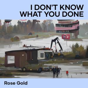 Listen to I Don't Know What You Done song with lyrics from Rose Gold