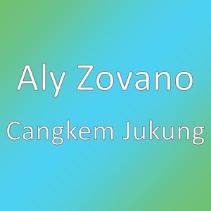 Listen to Cangkem Jukung song with lyrics from Aly Zovano
