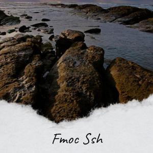 Listen to Fmoc Ssh song with lyrics from Josefin