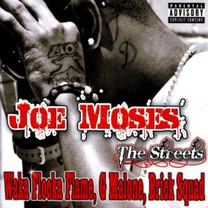 ดาวน์โหลดและฟังเพลง Akuna Matada (Explicit) พร้อมเนื้อเพลงจาก Joe Moses