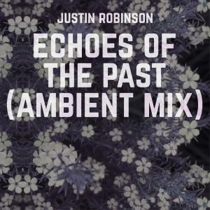 Justin Robinson的專輯Echoes of the Past (Ambient Mix)