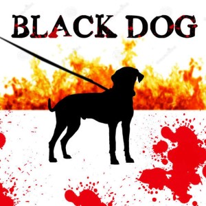 ดาวน์โหลดและฟังเพลง Black Dog พร้อมเนื้อเพลงจาก The Classic Rock Machine