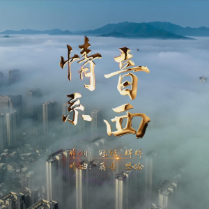 Album 情系音西 from 张磊
