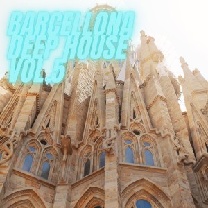收听Absolute Groove的Show Me Love (Pascal York's House Mix)歌词歌曲