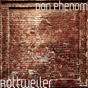 Listen to Rottweiler song with lyrics from Don Phenom