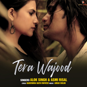 Album TERA WAJOOD from Alok Singh