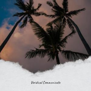 Listen to Burning Token song with lyrics from Abdun Maurane