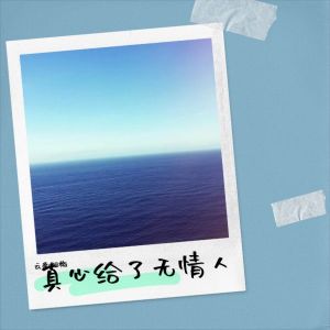 Listen to 真心给了无情人 (伴奏) song with lyrics from 云南阿梅