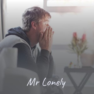 Listen to Mr Lonely song with lyrics from Floyd Cramer