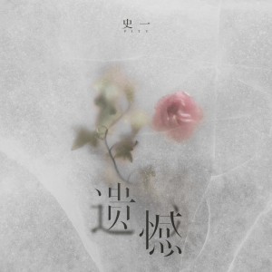 Listen to 遗憾 (伴奏) song with lyrics from 史一