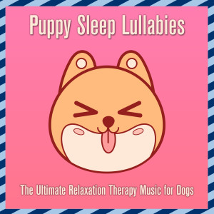 Album Puppy Sleep Lullabies: The Ultimate Relaxation Therapy Music for Dogs oleh Relaxmydog