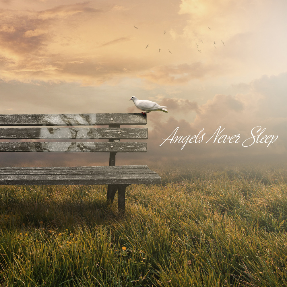 Angels Never Sleep