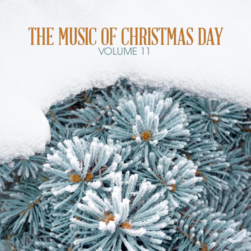 Ellens Gesang III, D839, Op. 52: No. 6, Ave Maria