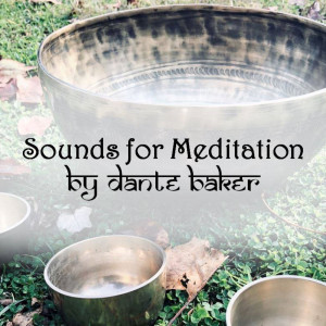 收聽Dante Baker的Conscious Sound Waves歌詞歌曲