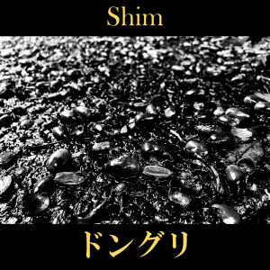 Listen to ドングリ song with lyrics from Shim