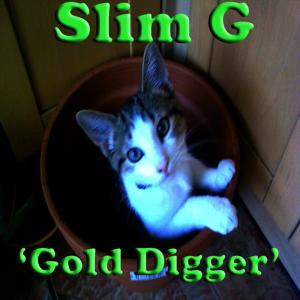 ดาวน์โหลดและฟังเพลง Gold Digger พร้อมเนื้อเพลงจาก Slim G