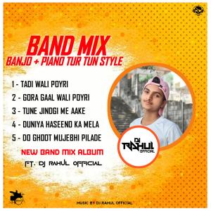 Listen to GORA GAAL WALI POYRI song with lyrics from The Desi Dholki Lovers