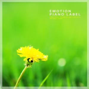 Dengarkan Walk Confidently Nature Version (Nature Ver.) lagu dari 방수현 dengan lirik