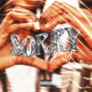 Album Sorry (Explicit) from Montage
