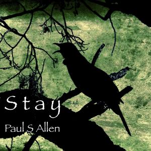 ดาวน์โหลดและฟังเพลง Stay พร้อมเนื้อเพลงจาก Paul S Allen